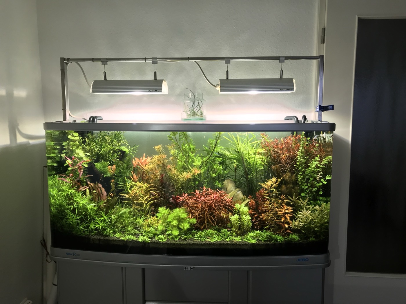 Acvariu bowfront plantat, stil olandez, cu sistem de iluminare suspendat