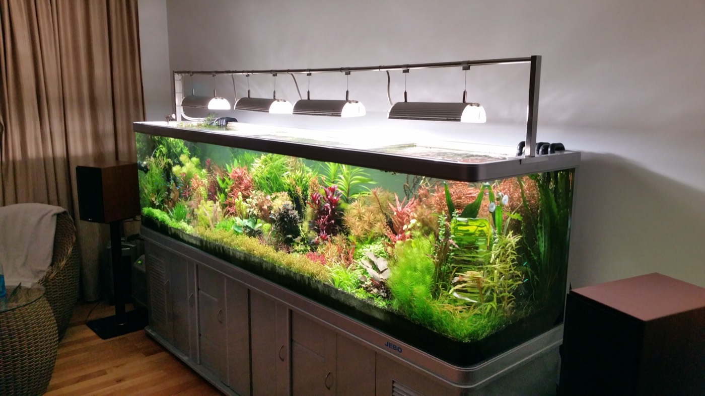 Acvariu room-divider de mari dimensiuni într-o locuință
